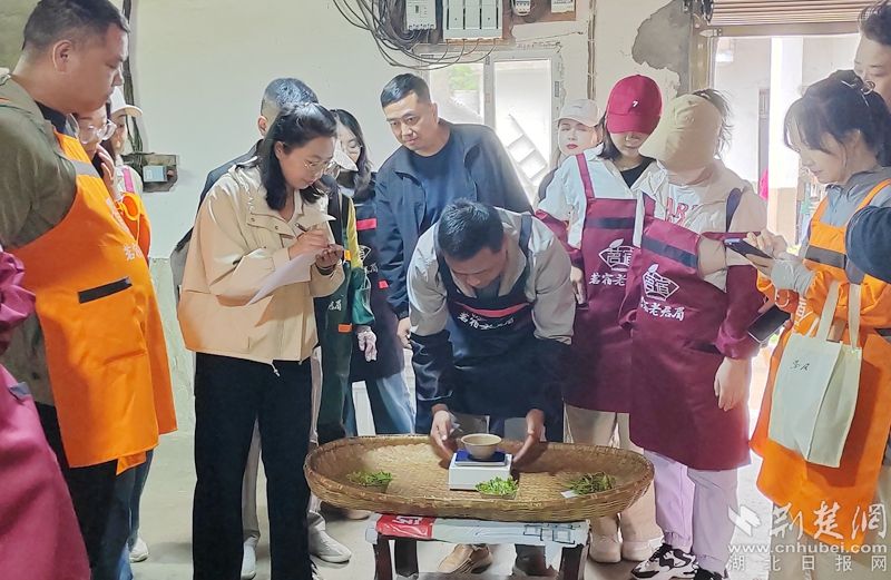 “荒野尋茶“”火爆出圈，第九屆紅安老君眉茶文化節開幕