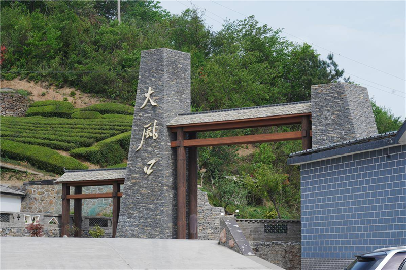 湖北茶産業長成國際范_fororder_微信圖片_20250509092725