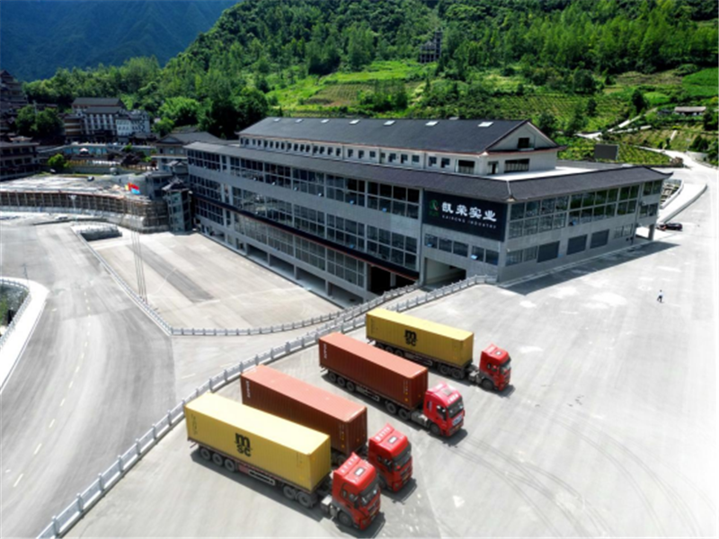 湖北鶴峰：從有機茶園到全球市場 鶴峰式服務助力大宗茶揚帆出海_fororder_05