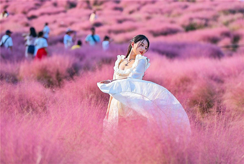 武漢光谷二妃山網紅粉黛上線_fororder_06