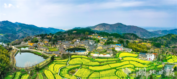 麻城龜山鎮東垸村：校地共建 文旅融合_fororder_23