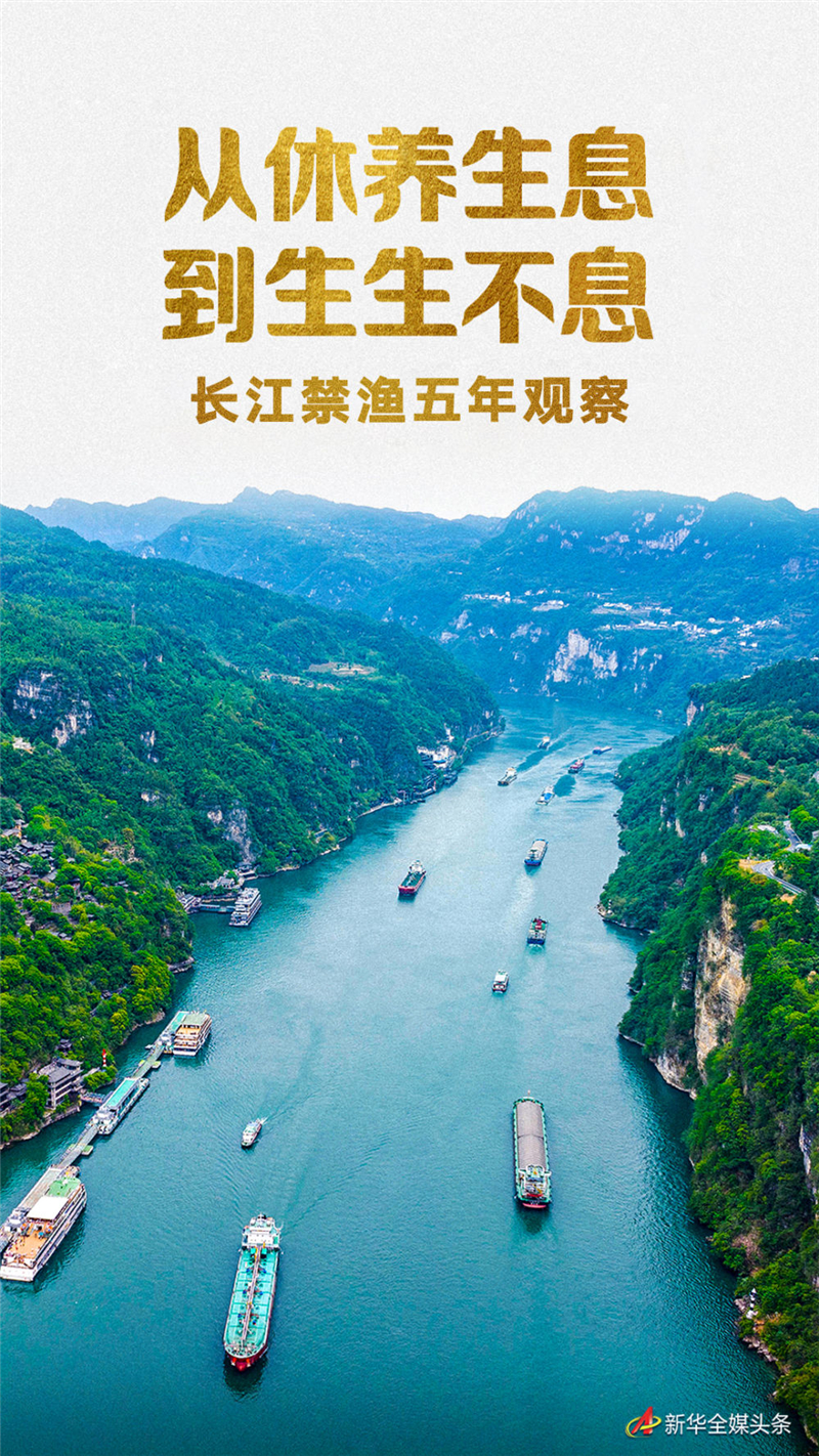 從休養生息到生生不息——長江禁漁五年觀察_fororder_3b217762cc0549aab0faf2703fa59d1d