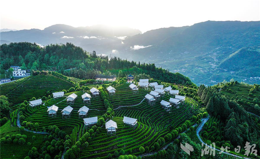 茶山小帳篷撐起文旅消費新場景_fororder_微信圖片_20250513092458