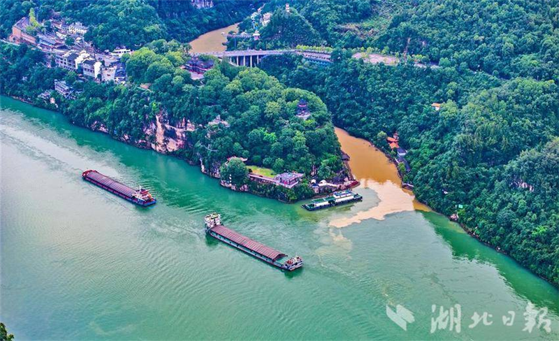 長江西陵峽峽口現 “涇渭分明” 景觀_fororder_微信圖片_20250701094329