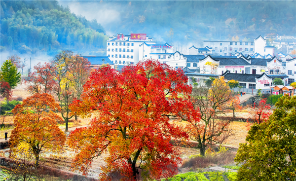 光影聚焦 藝韻新生“羅田·一見如故鄉”全國攝影大展啟動_fororder_圖片58