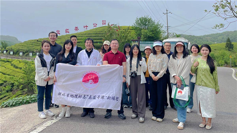 湖北茶産業長成國際范_fororder_微信圖片_20250509092731