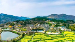 麻城龜山鎮東垸村：校地共建 文旅融合