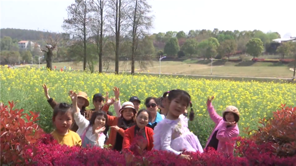 黃陂區花海樂園特色休閒遊受追捧_fororder_微信圖片_20250409112613