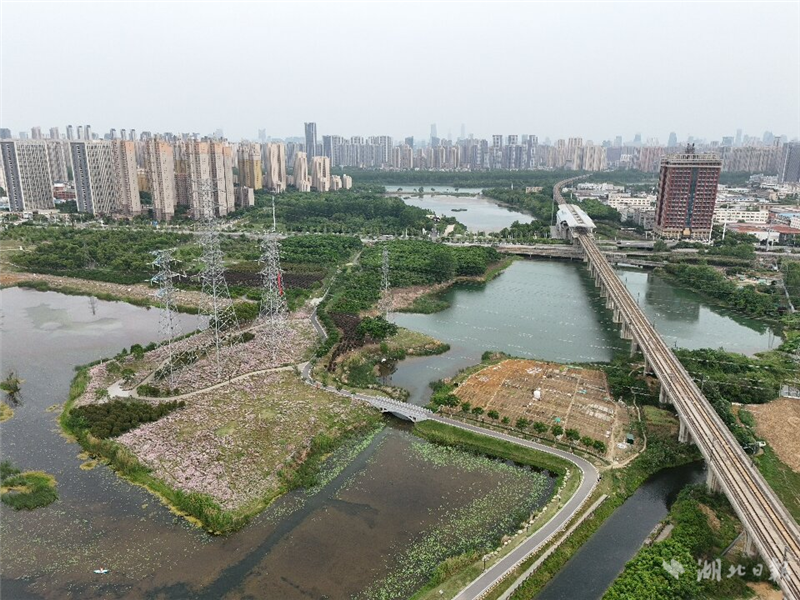武漢雕琢“城市窗口”共賞四季芳華_fororder_e545fa1a70944e4180ed75f6594598fd