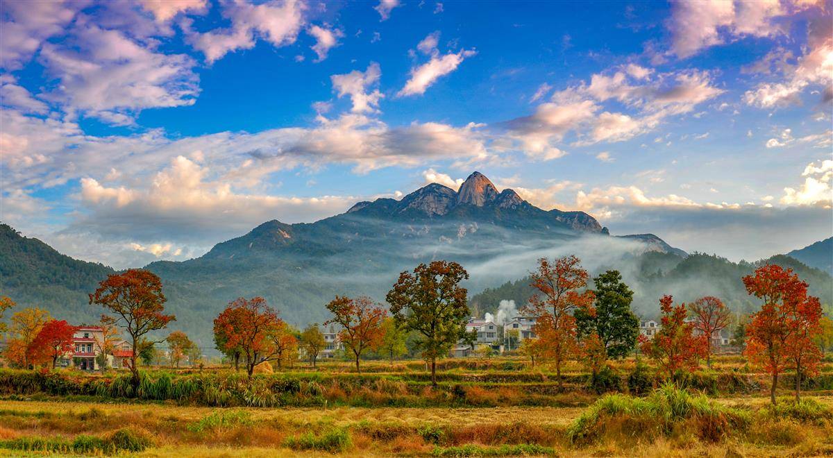 看紅葉、品甜柿、賞稻浪,黃岡三景入選湖北十大賞秋地