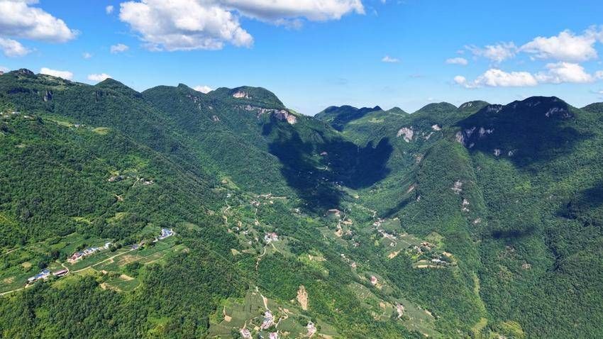 宜昌長陽：青春“網”事 00後網格員的山鄉答卷