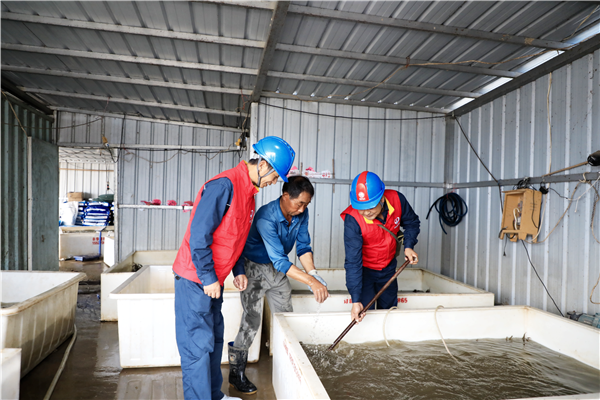 鄂州梁子湖螃蟹:從養殖基地“直飛”鮮達全國餐桌_fororder_01