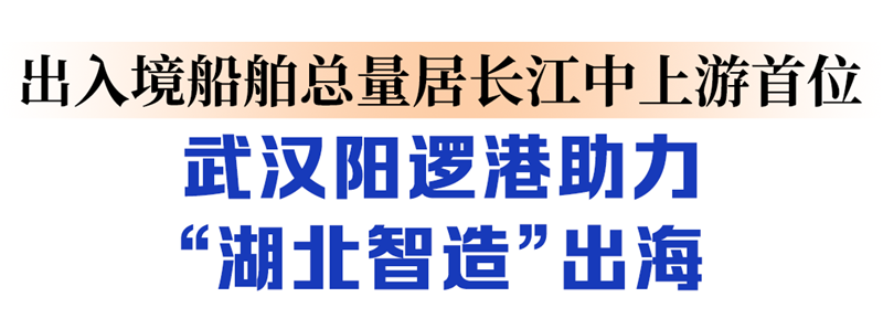 江海直達 鐵海聯運 武漢都市圈密織出海通道_fororder_04