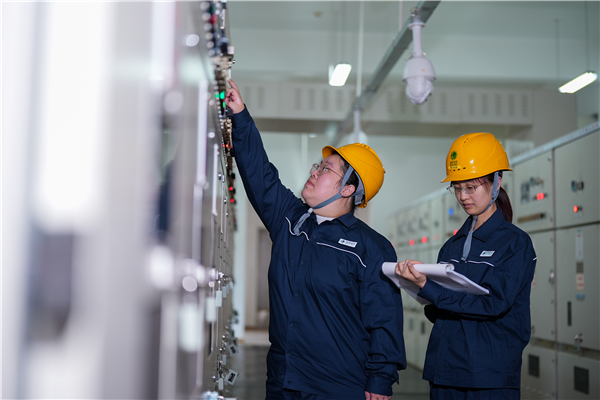 湖北咸寧：科技賦能變電運維 無人機跑出巡檢“加速度”_fororder_圖片81