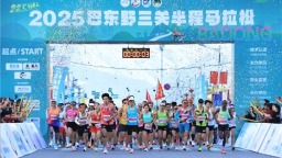 逐夢清涼秘境！2025湖北巴東野三關半程馬拉松鳴槍開跑