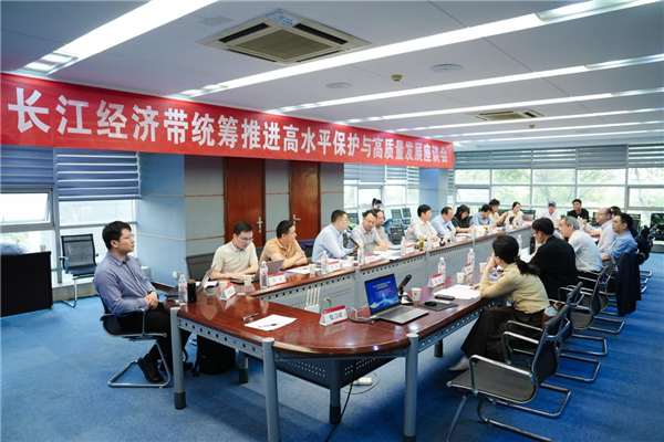 長江經濟帶統籌推進高水準保護與高品質發展座談會在漢舉行_fororder_圖片29