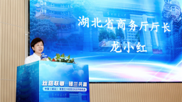 “絲路聯鄂 錫蘭共贏”中國（湖北）斯裡蘭卡經貿文化合作交流會在漢舉行