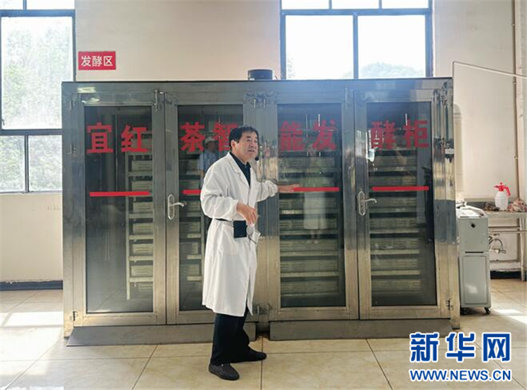 地理標誌賦能鄂西茶産業：一片葉子的産業覺醒_fororder_202505076ad0770477424162953884984b2cd360_2025050743d7322099a74c928e8bb68f42bfb327