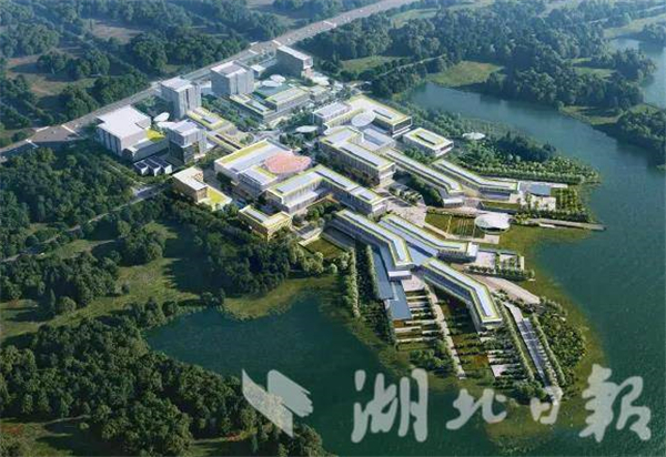 楚商“大咖”紛紛重倉光谷_fororder_f6f34a579fbc4ea7a950c240a656065f