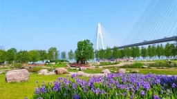 武漢：花開四季扮靚城市環線 古城新顏吸引市民打卡
