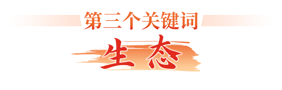 光博會何以吸引世界目光？四個關鍵詞讀懂