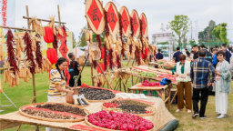 武漢豐收節華麗變身農趣嘉年華市民沉浸體驗曬豐收