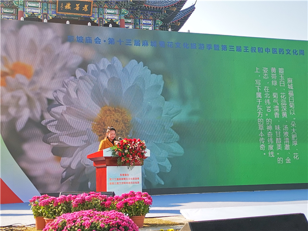 東坡廟會·第十三屆麻城菊花文化旅遊季暨第三屆王叔和中醫藥文化周開幕_fororder_圖片43