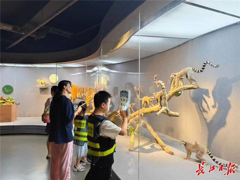 從“水秀”爆滿到夜賞長江，武漢憑“夜遊IP矩陣”躋身暑期全國熱門目的地_fororder_0a060b9c-b245-438a-8ac6-abf449d1f807