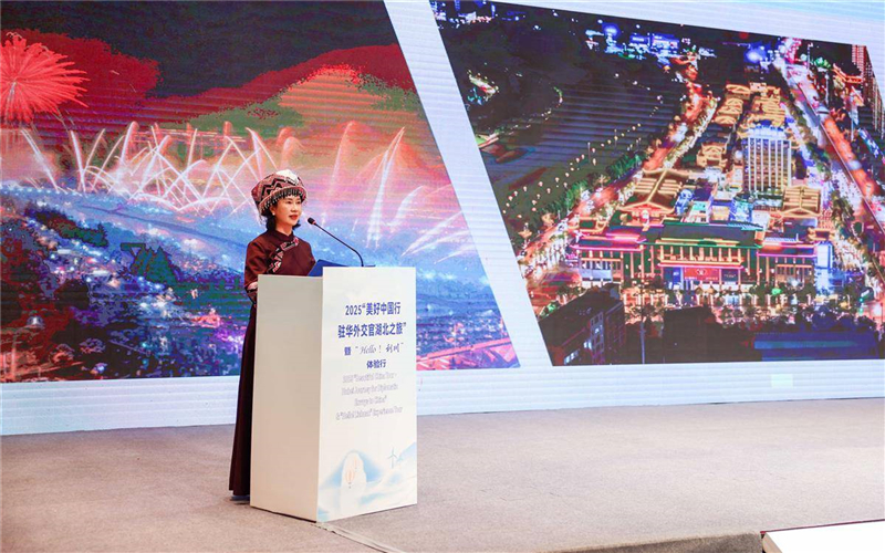 2025“美好中國行·駐華外交官湖北之旅”走進涼城利川_fororder_4fa0e2f49a934ab9bcd8307bc4a1deb3