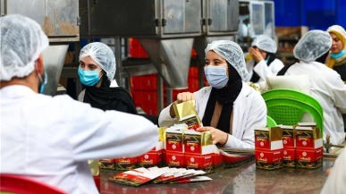探訪湖北茶葉出海路 一盞鶴峰茶聯通萬里情