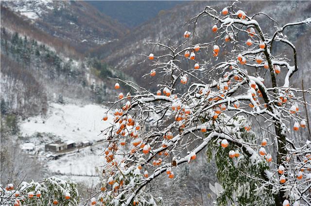 湖北保康：雪後山村美如畫