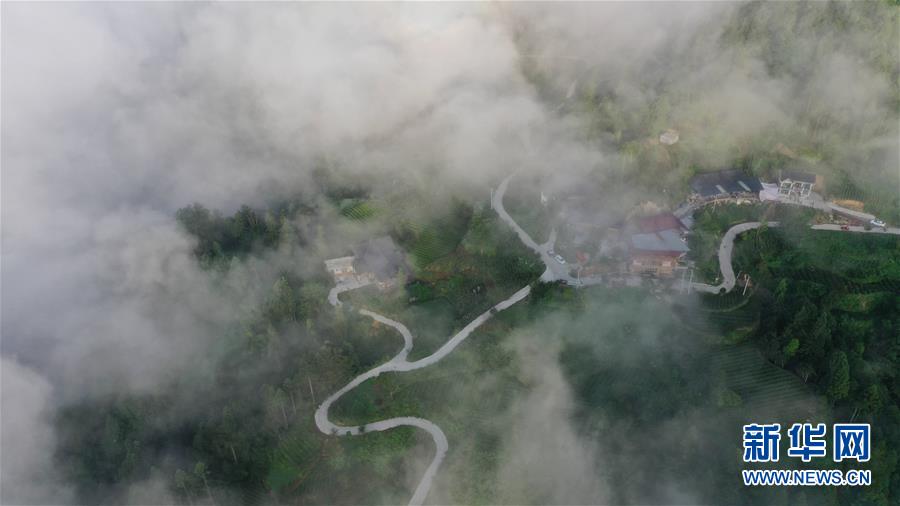 湖北利川：雲海似畫卷