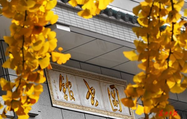 圖集：武大迎來125歲生日 秋色撩人正當時