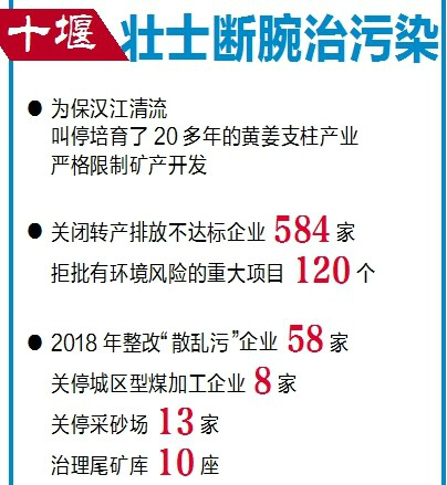 呵護綠意長江 推動綠色發展丨擔當作為 讓長江兩岸綠意盎然