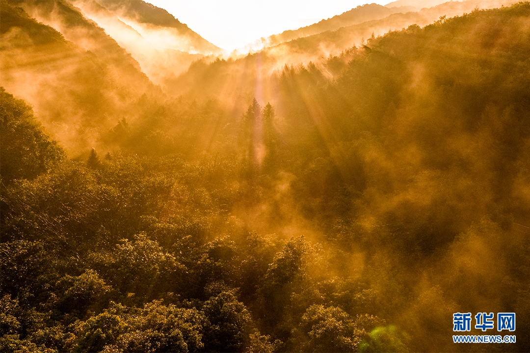 航拍神農架絢麗秋景 大地如同調色盤