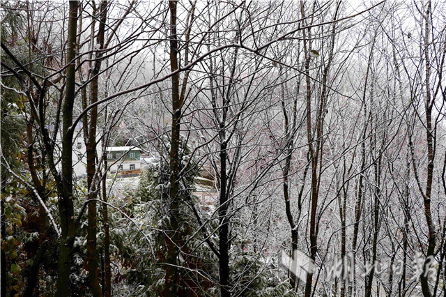 保康降下今秋首場降雪