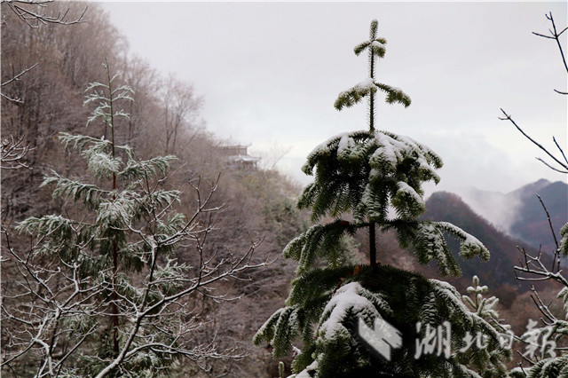 保康降下今秋首場降雪