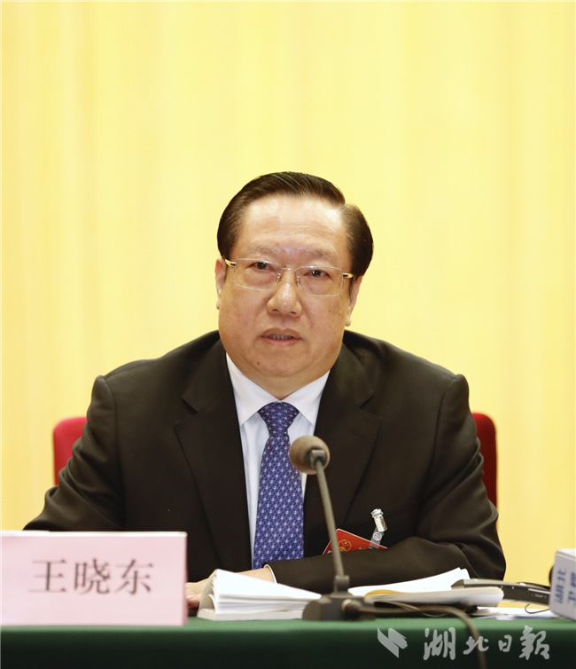 湖北代表團開放團組會高清大圖來了
