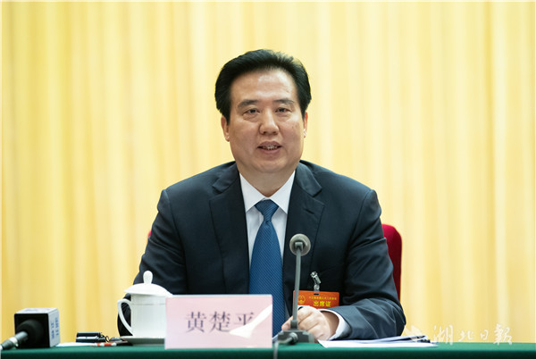 湖北代表團開放團組會高清大圖來了