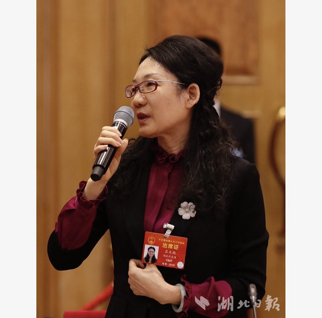 湖北代表團開放團組會高清大圖來了