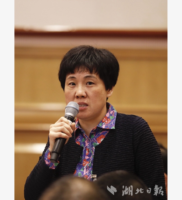 湖北代表團開放團組會高清大圖來了