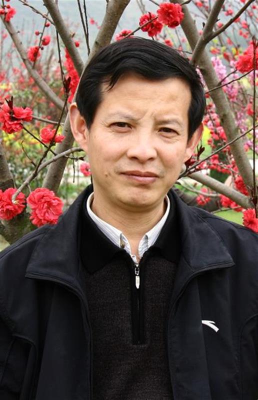 夏奇星書法管窺：無意于佳乃佳