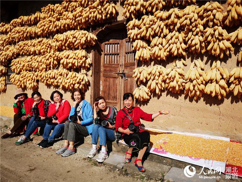 湖北宜昌馬宗嶺村玉米豐收 玉米“黃金屋”成當地美景