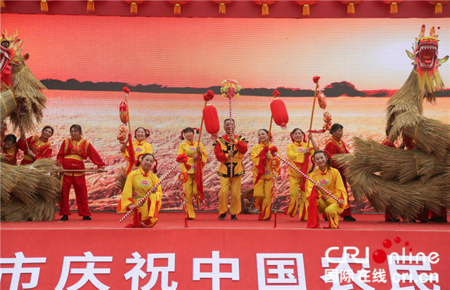2020年武漢市慶祝“中國農民豐收節”活動在江夏啟動