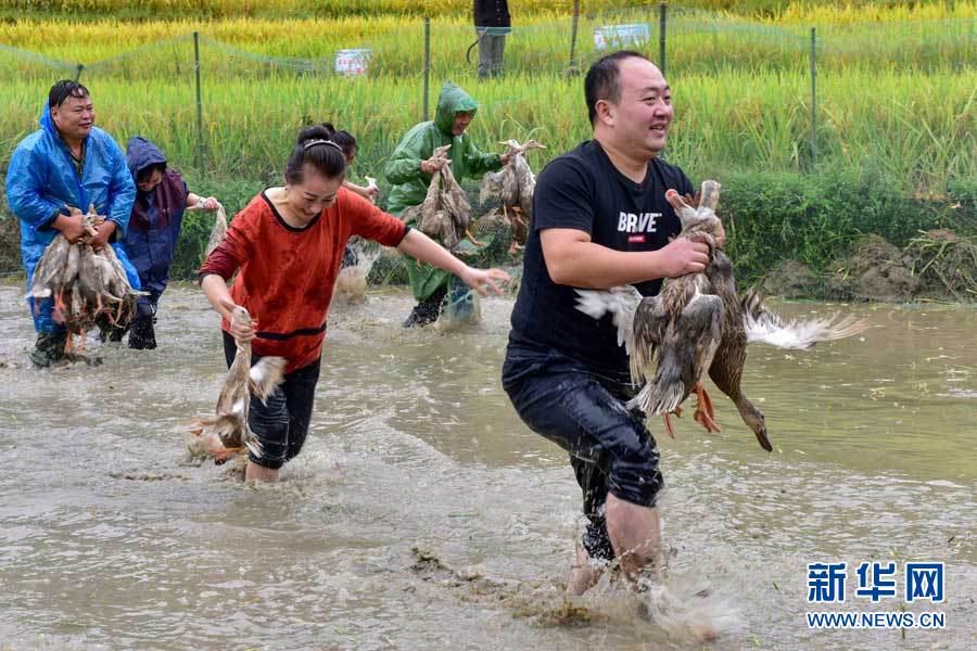 湖北蘄春：農民豐收節“農味”濃
