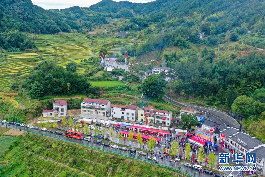 湖北蘄春：農民豐收節“農味”濃