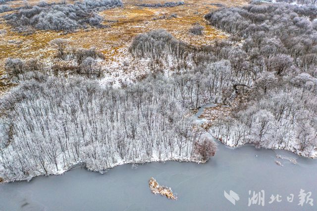 大九湖出現純美霧凇景觀