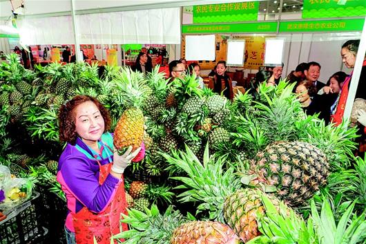 農博會品綠色美味