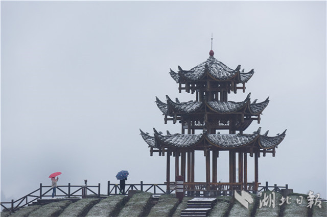 恩施：“冰雪茶園”潤新景