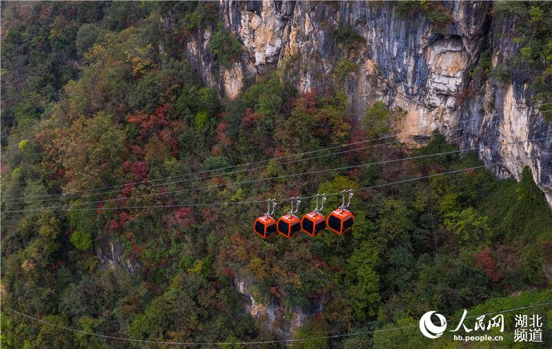 湖北保康：九路寨紅葉醉金秋